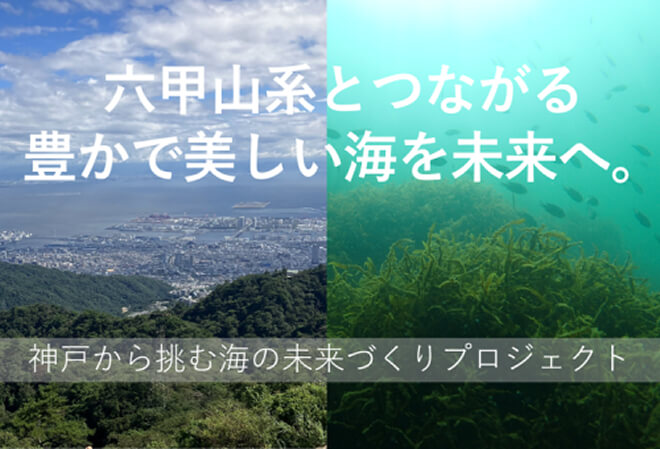 六甲山系とつながる豊かで美しい海を守りたい。神戸から挑む海の未来づくりプロジェクト
