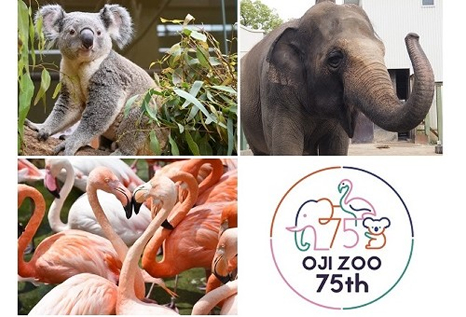 思い出もっと、これからずっと。王子動物園はこれからも「身近な動物園」であり続けます！