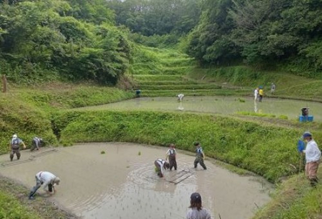神戸市の自然を未来へ　～子どもたちに豊かな里山の自然を体験してほしい！～
