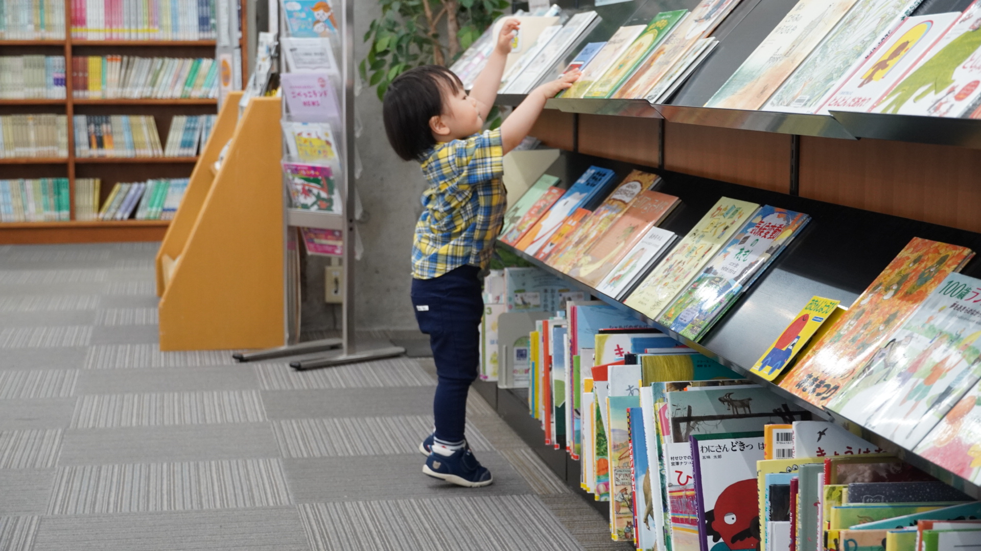 子どもたちのために児童書の充実を！クラウドファンディング実施中